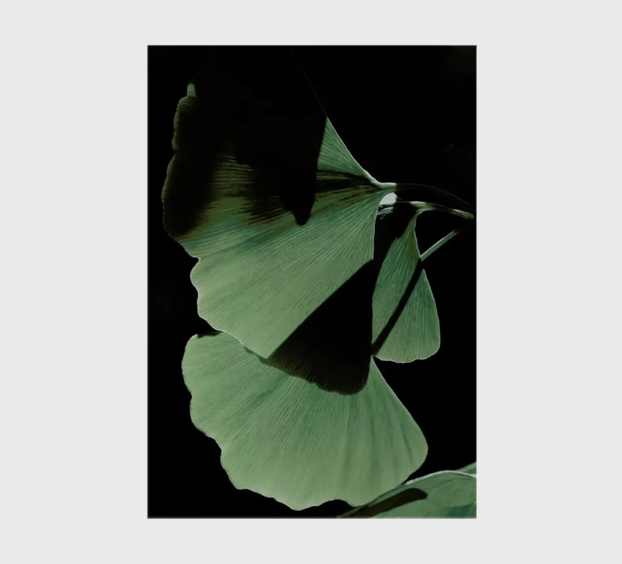 Ginkgo 03 notebook by Froilein Juno