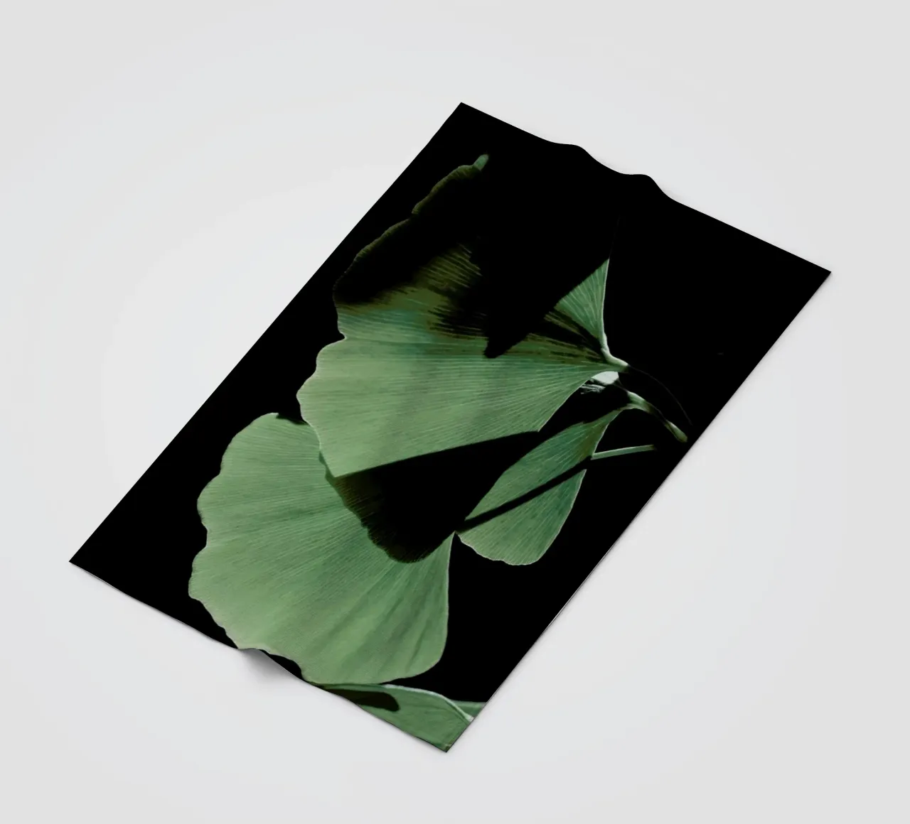 Ginkgo 03 manta de franela de Froilein Juno