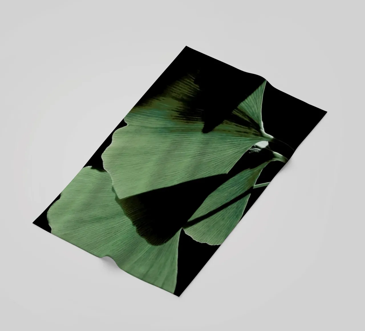 Ginkgo 03 telo mare da Froilein Juno