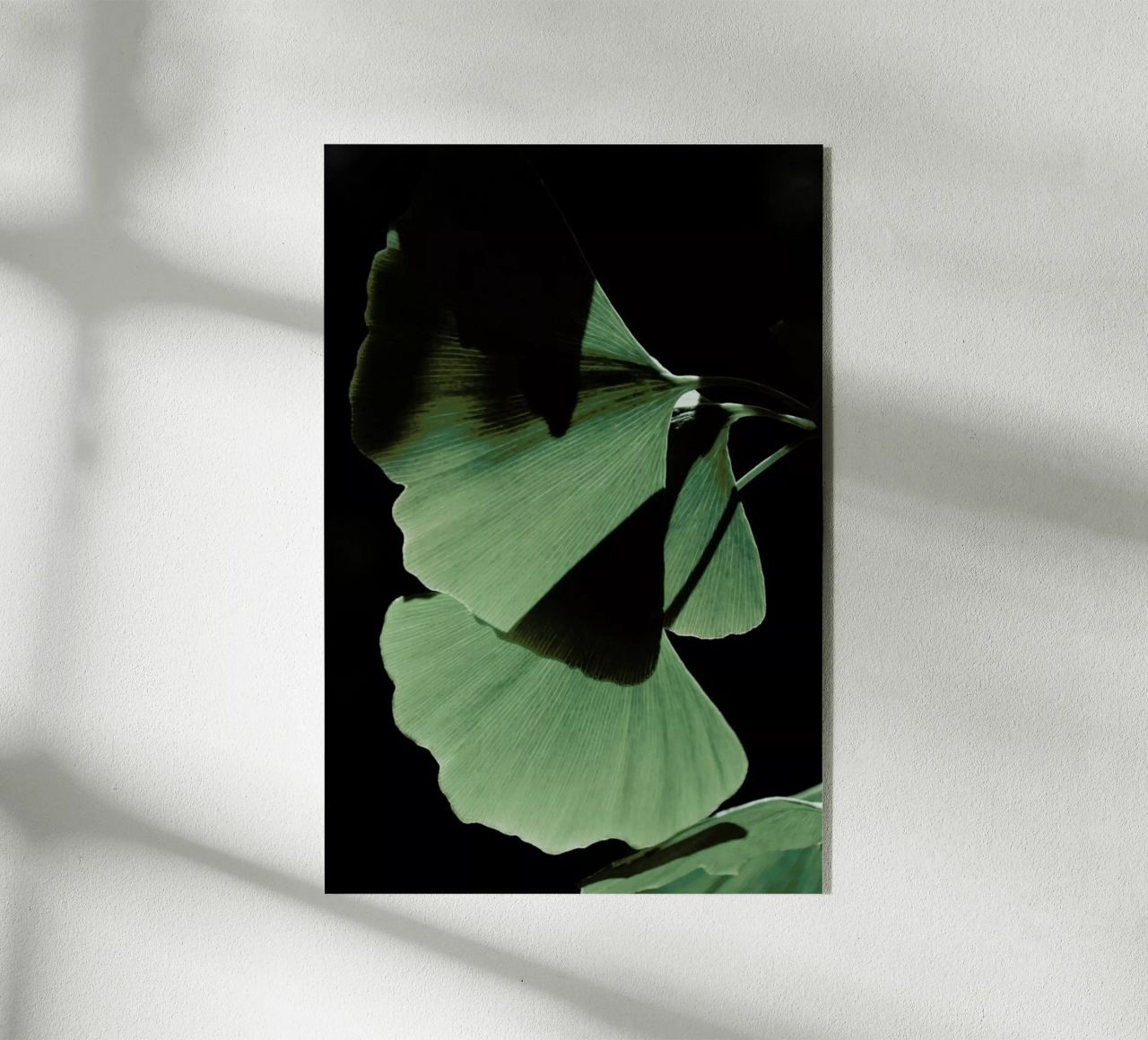 Ginkgo 03 plexiglass da Froilein Juno