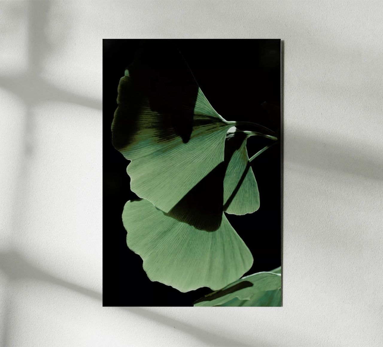 Ginkgo 03 alluminio dibond da Froilein Juno