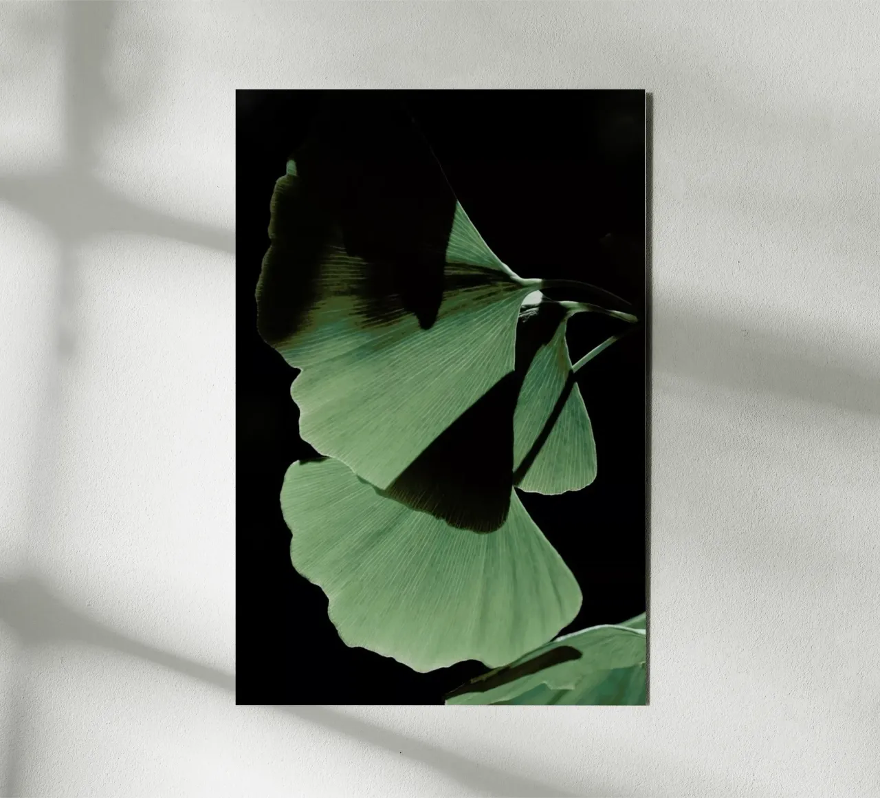 Ginkgo 03 alluminio dibond da Froilein Juno
