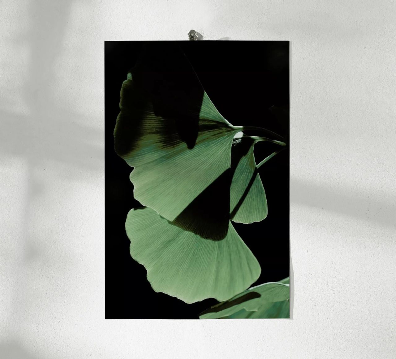 Ginkgo 03 carta hahnemühle da Froilein Juno
