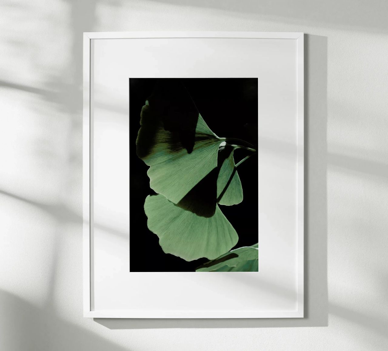 Ginkgo 03 carta hahnemühle da Froilein Juno