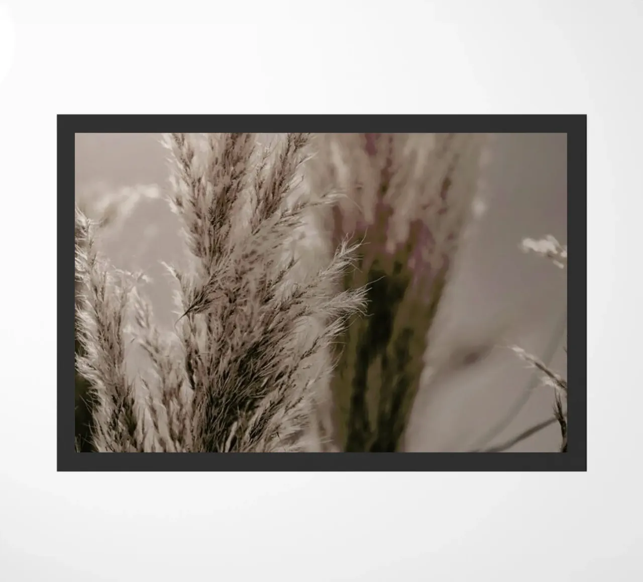 Pampas Reed 06 zerbino da Monika Strigel