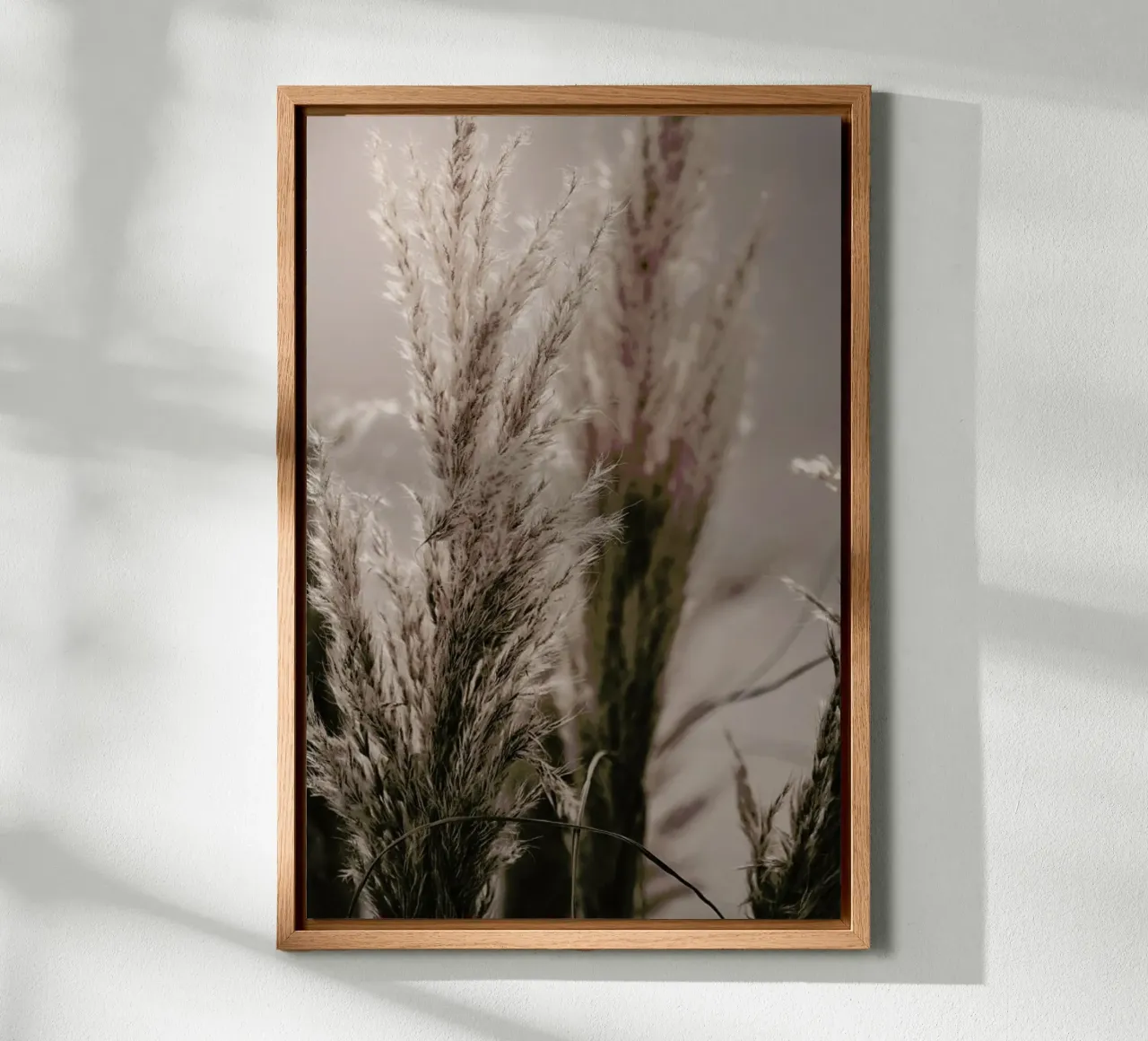 Pampas Reed 06 alluminio dibond da Monika Strigel