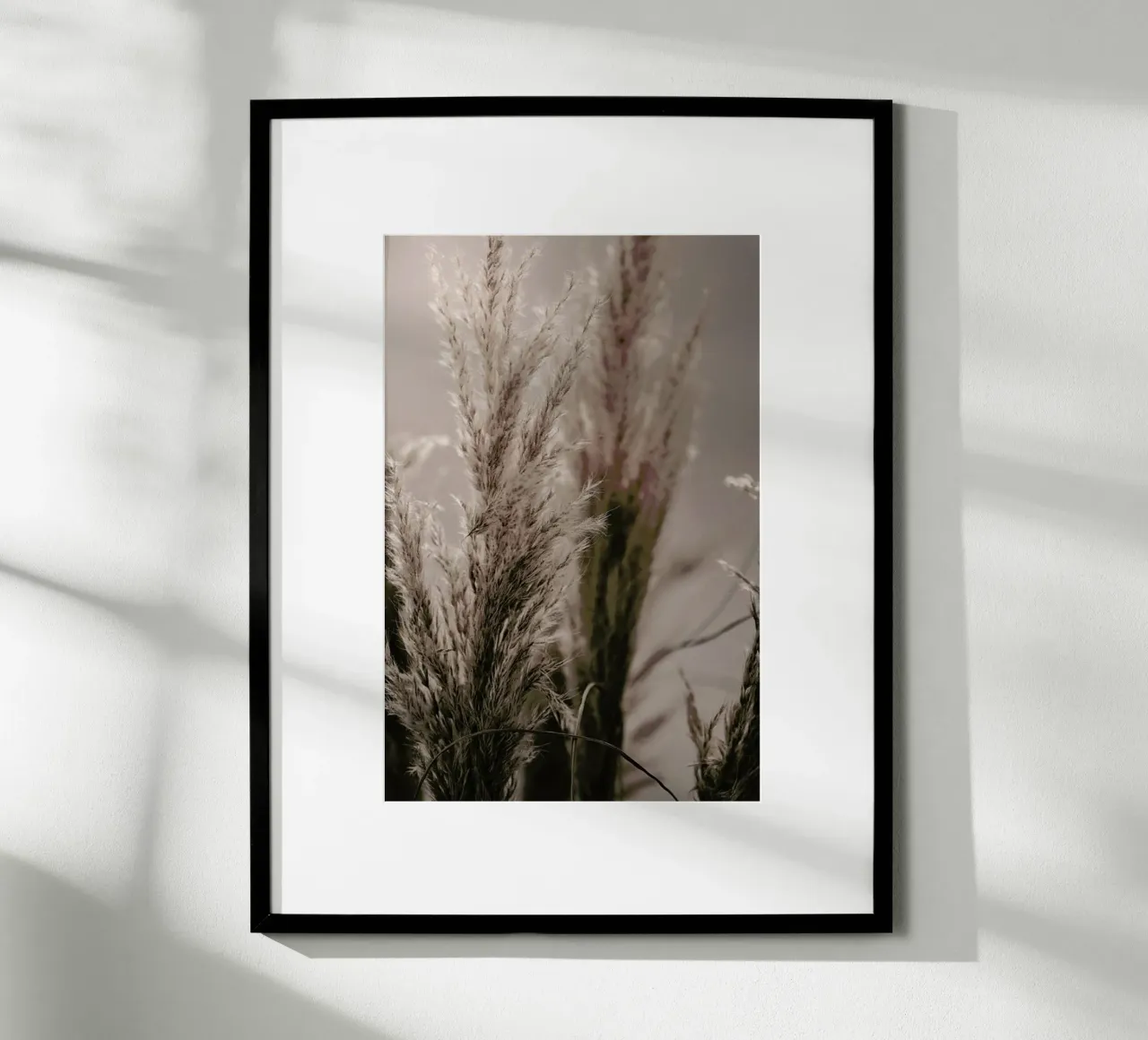 Pampas Reed 06 poster con telaio in plastica da Monika Strigel