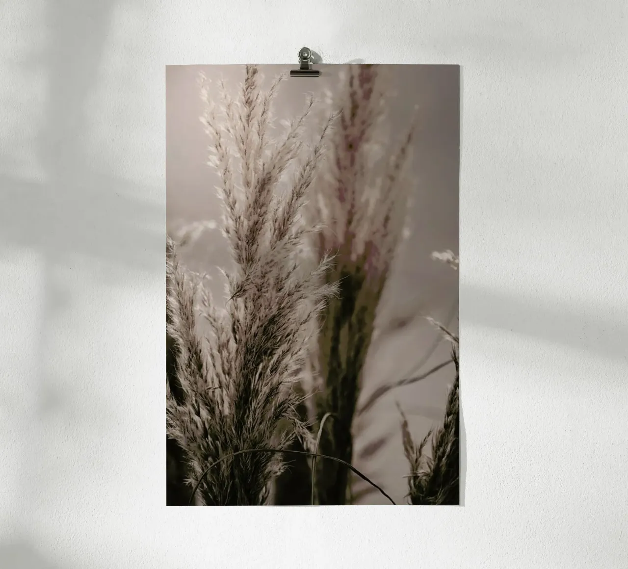 Pampas Reed 06 poster con telaio in plastica da Monika Strigel