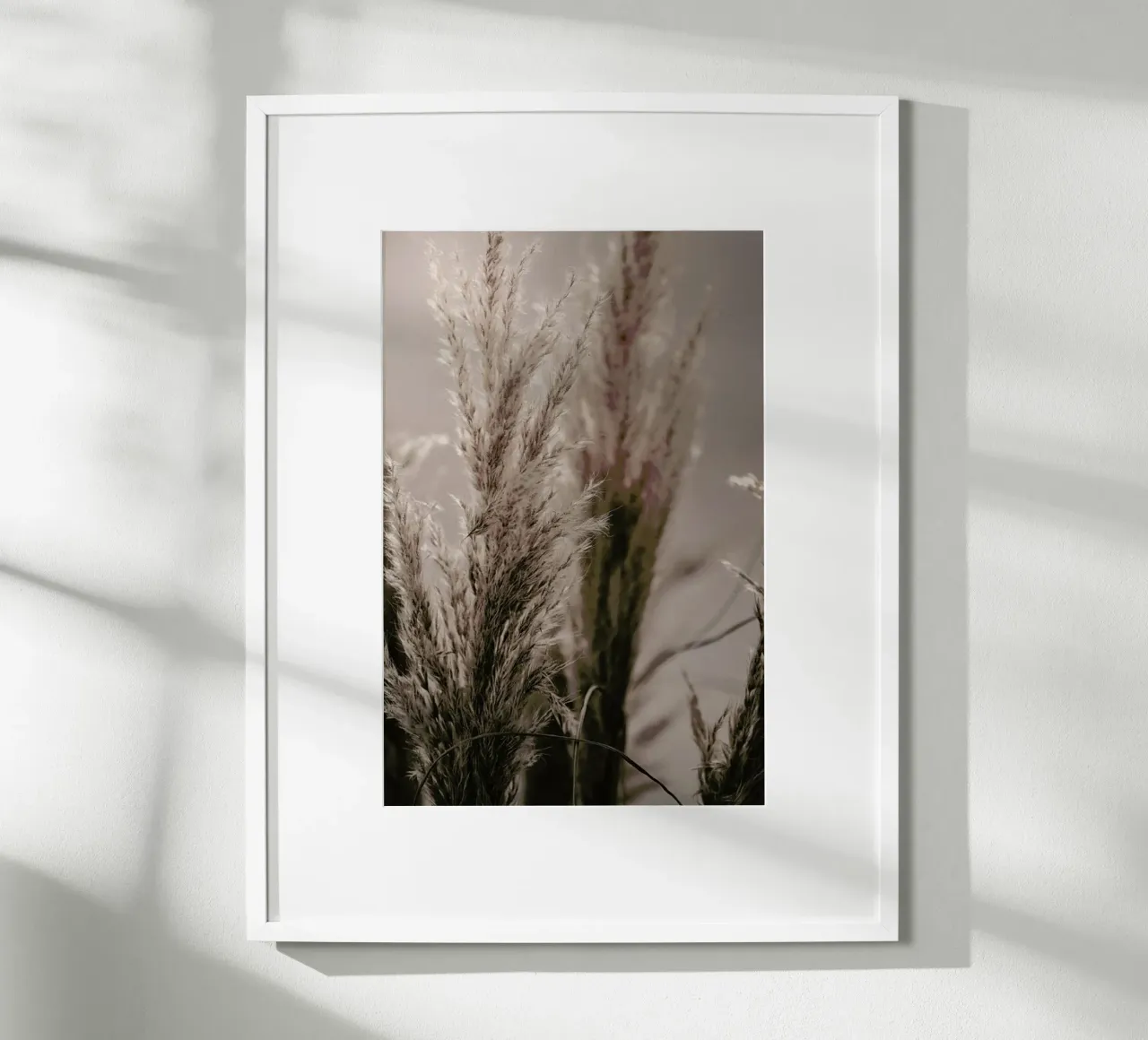 Pampas Reed 06 poster con telaio in plastica da Monika Strigel