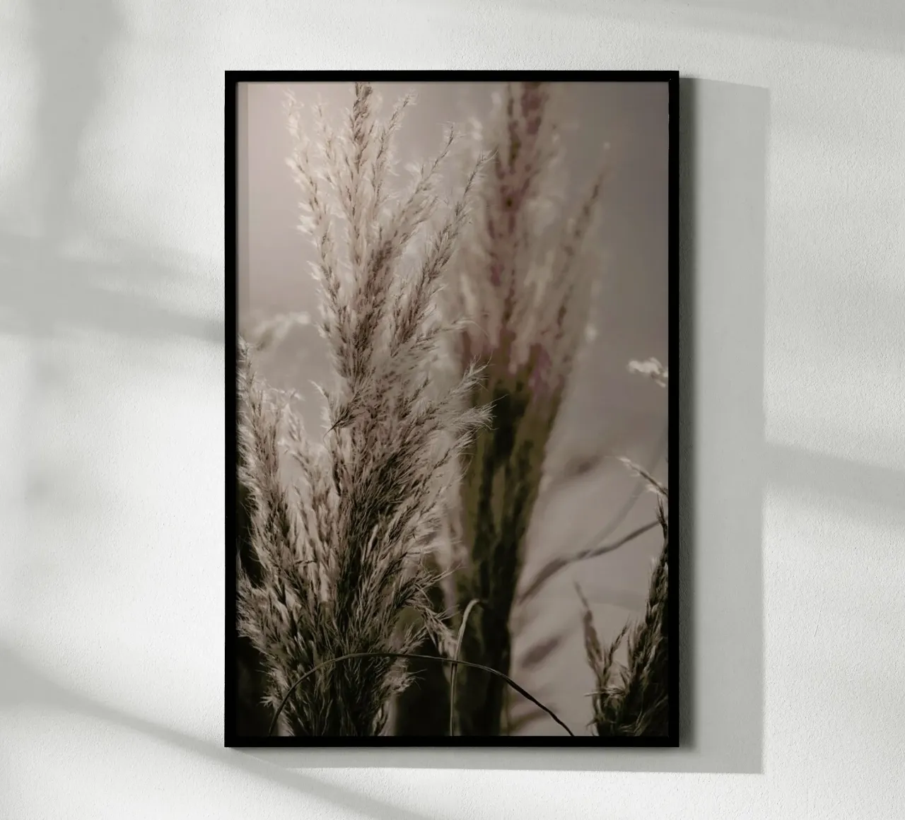 Pampas Reed 06 poster con telaio in plastica da Monika Strigel