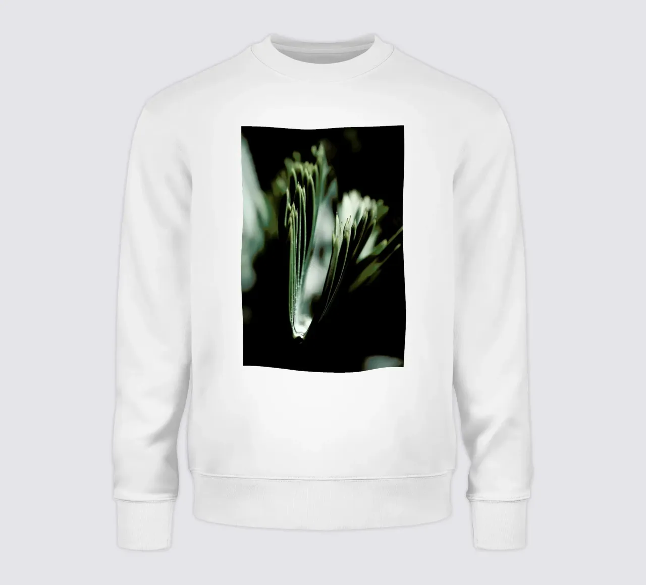Palm Tree 03 Sweatshirt von Froilein Juno