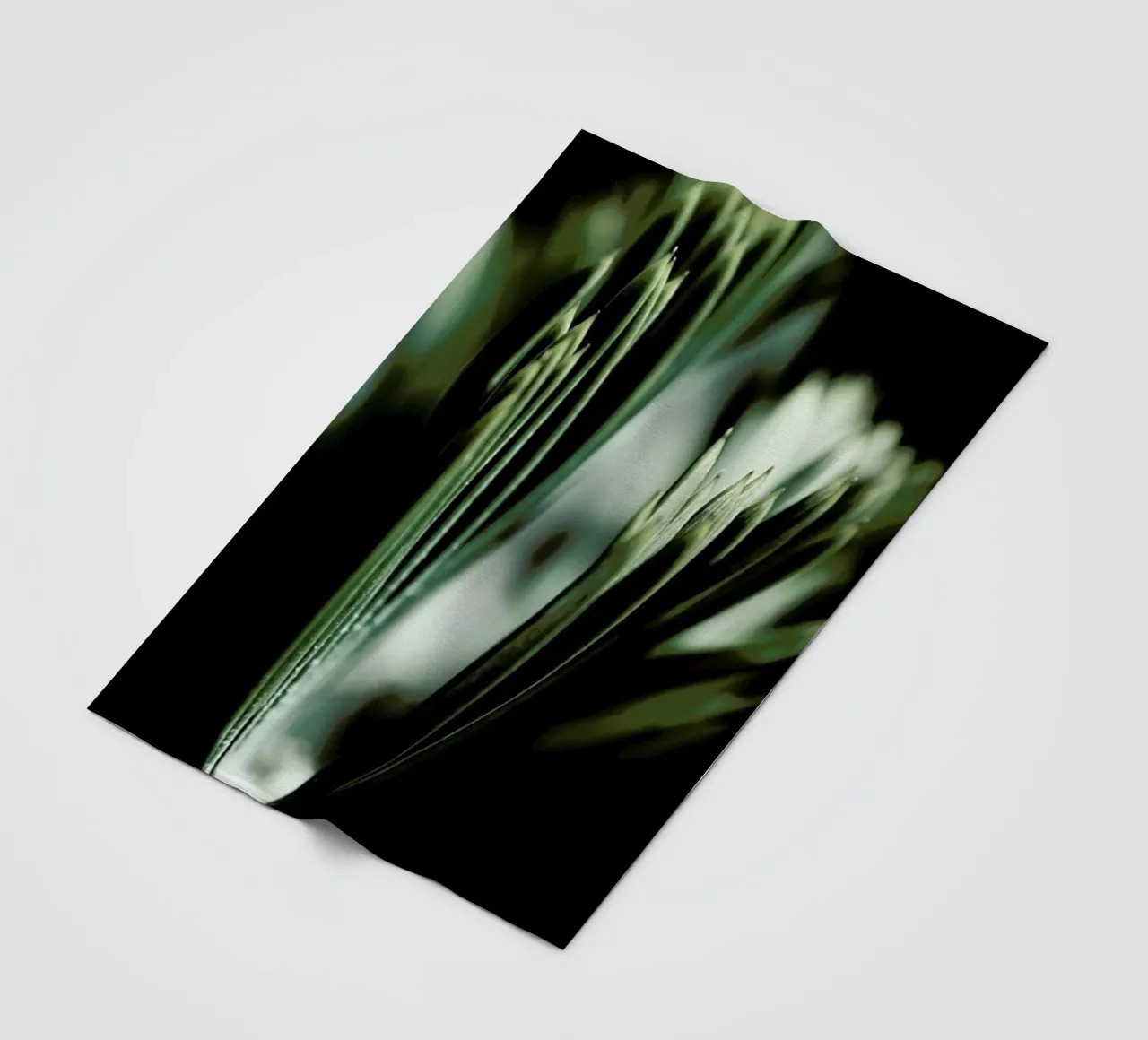 Palm Tree 03 coperta in pile da Froilein Juno