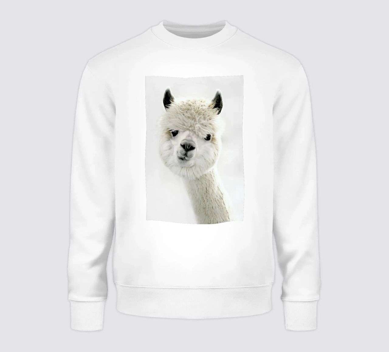 Peeky Alpaca felpa da Monika Strigel