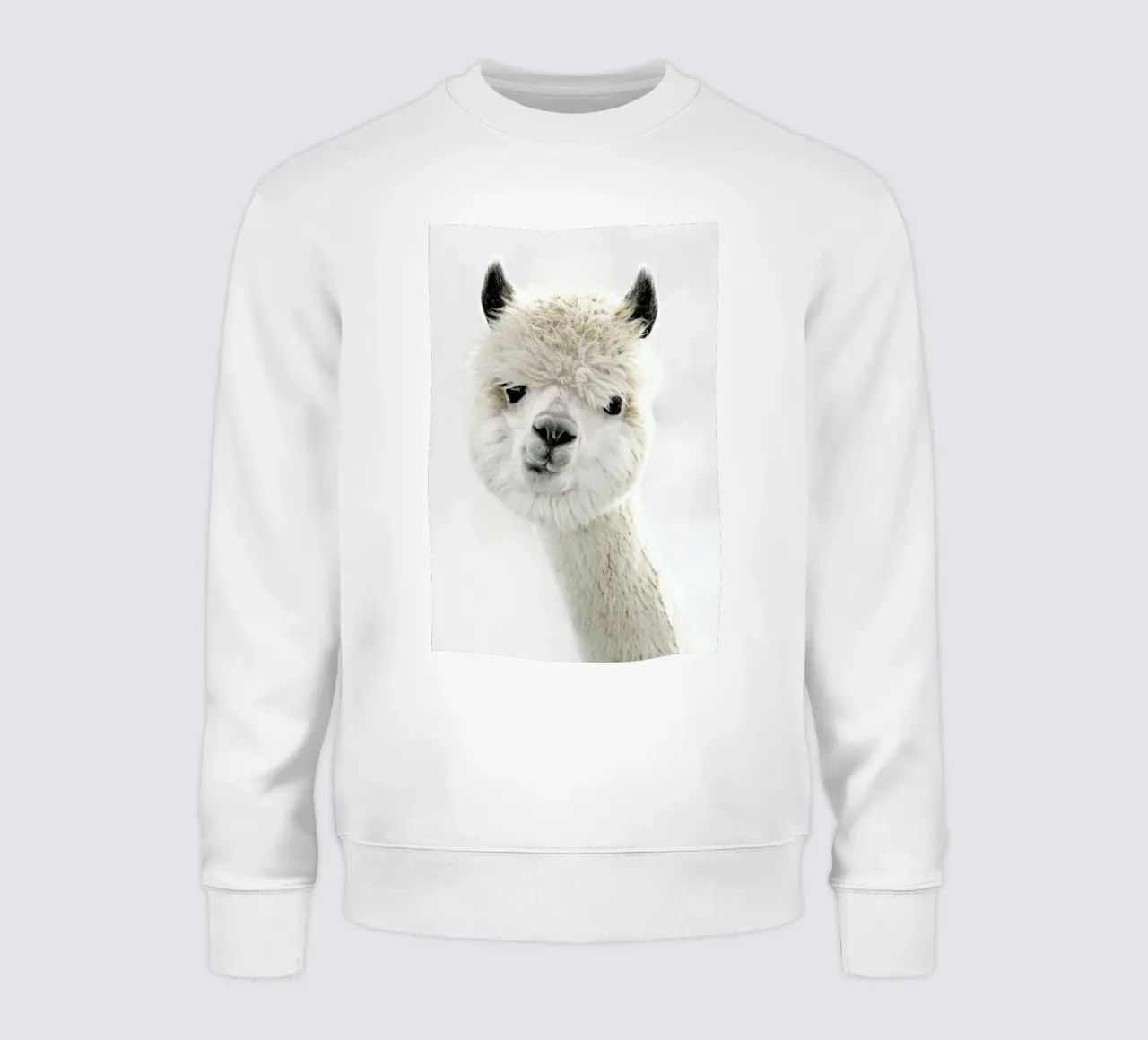 Peeky Alpaca felpa da Monika Strigel