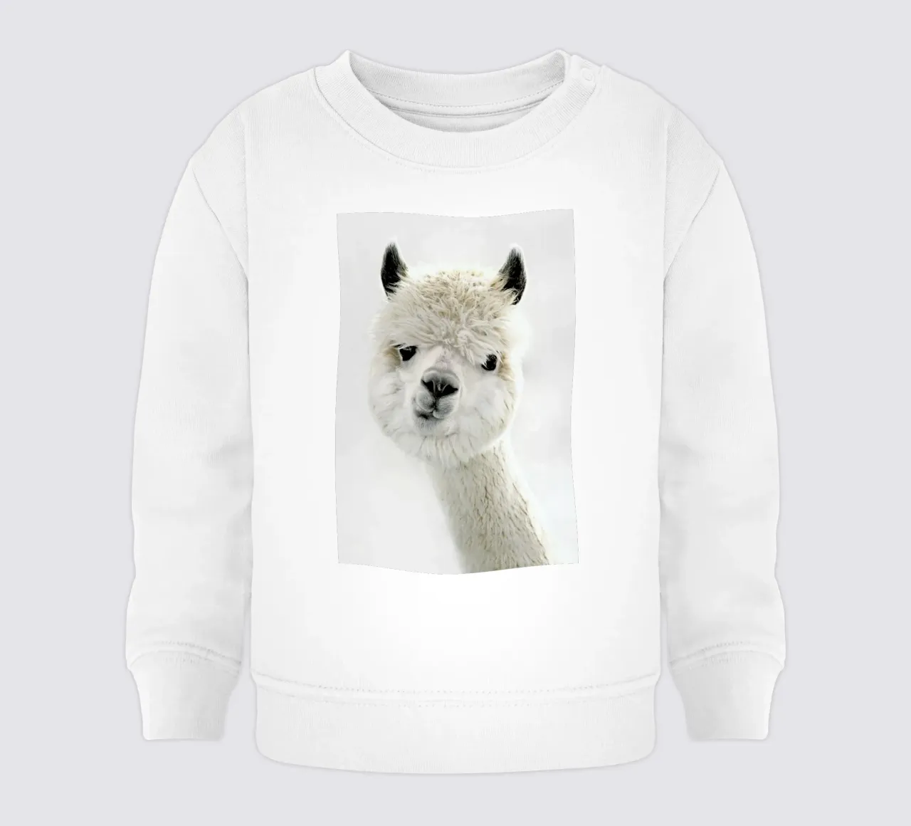 Peeky Alpaca baby sweatshirt by Monika Strigel