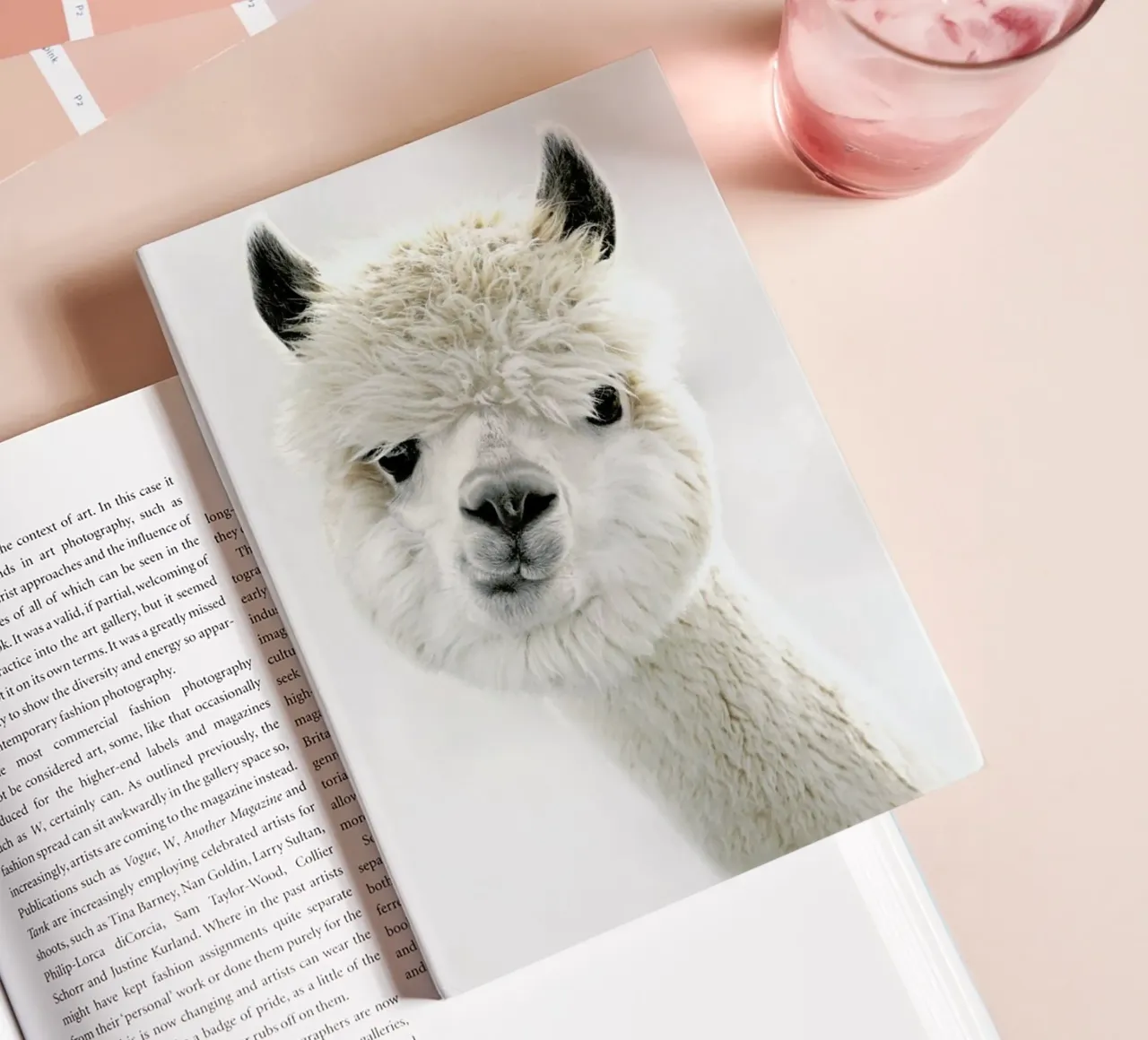 Peeky Alpaca notebook by Monika Strigel