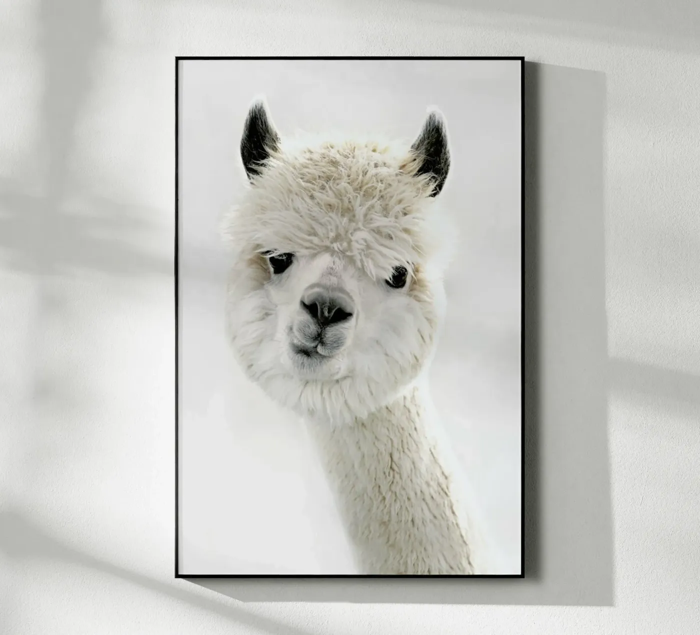 Peeky Alpaca plexiglass da Monika Strigel
