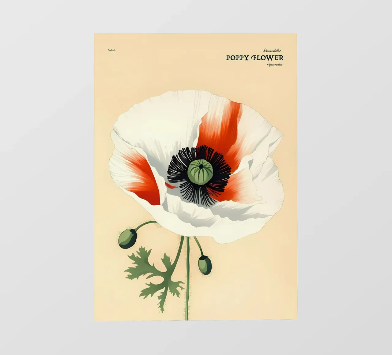 Fiore di papavero Retror telo in pvc da diedrich