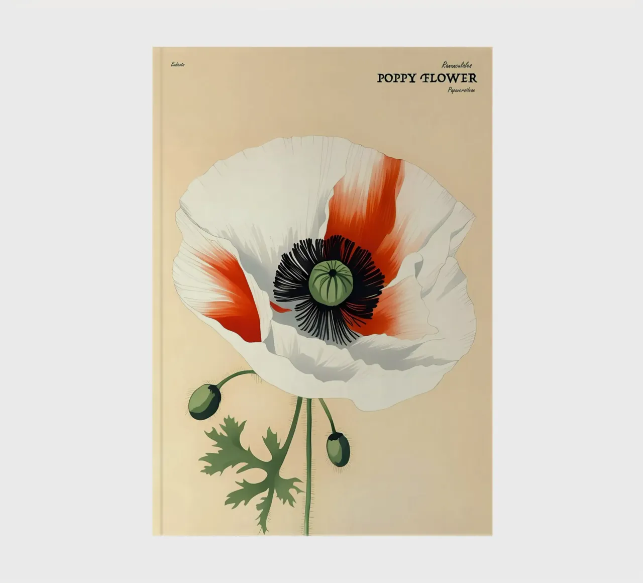Poppy Flower Retror notebook by diedrich