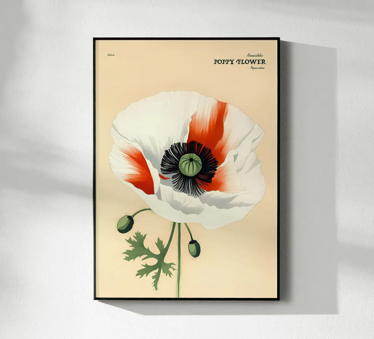 Fiore di papavero Retror plexiglass da diedrich