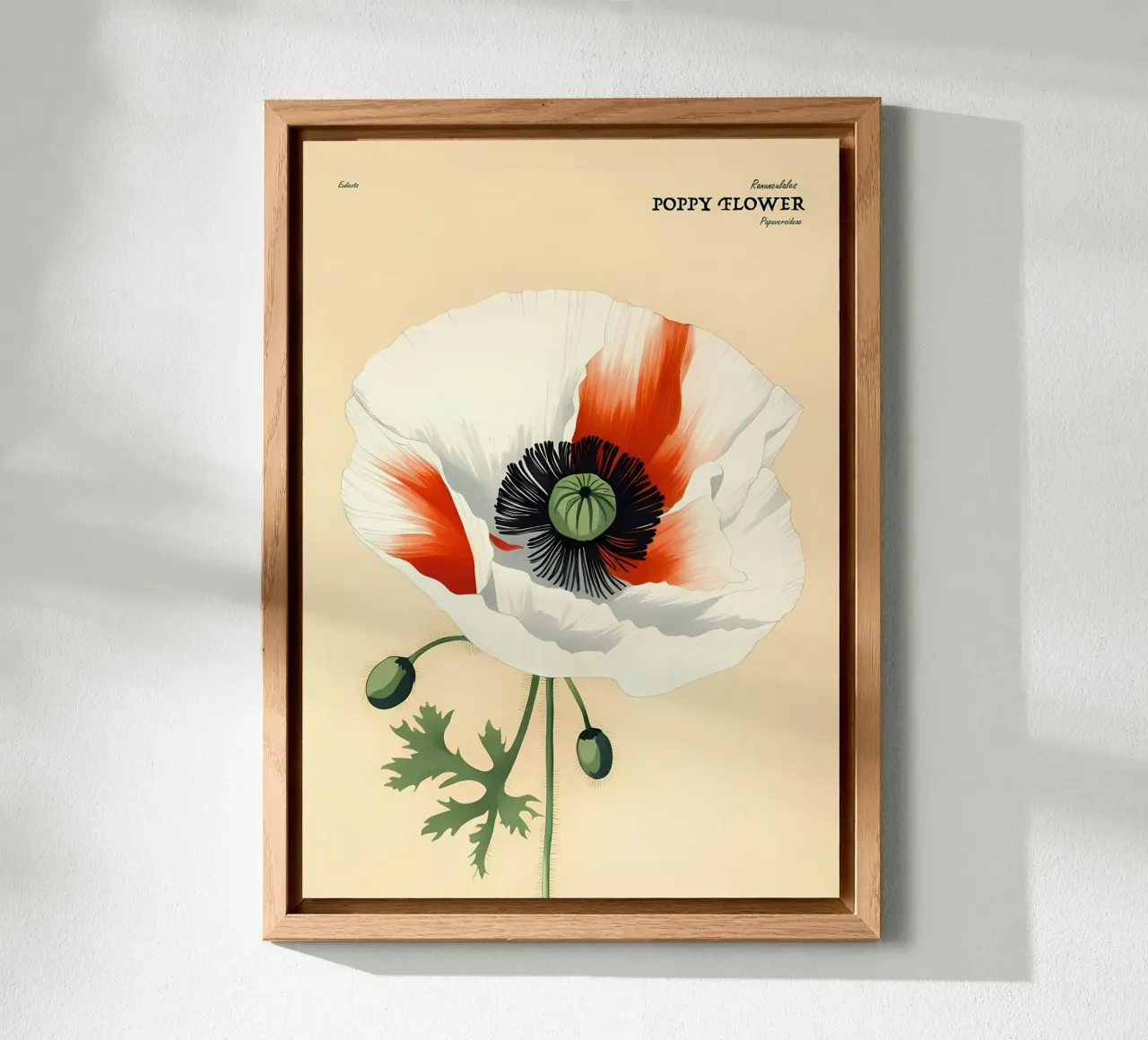 Retrait de la fleur de pavot panneau forex de diedrich