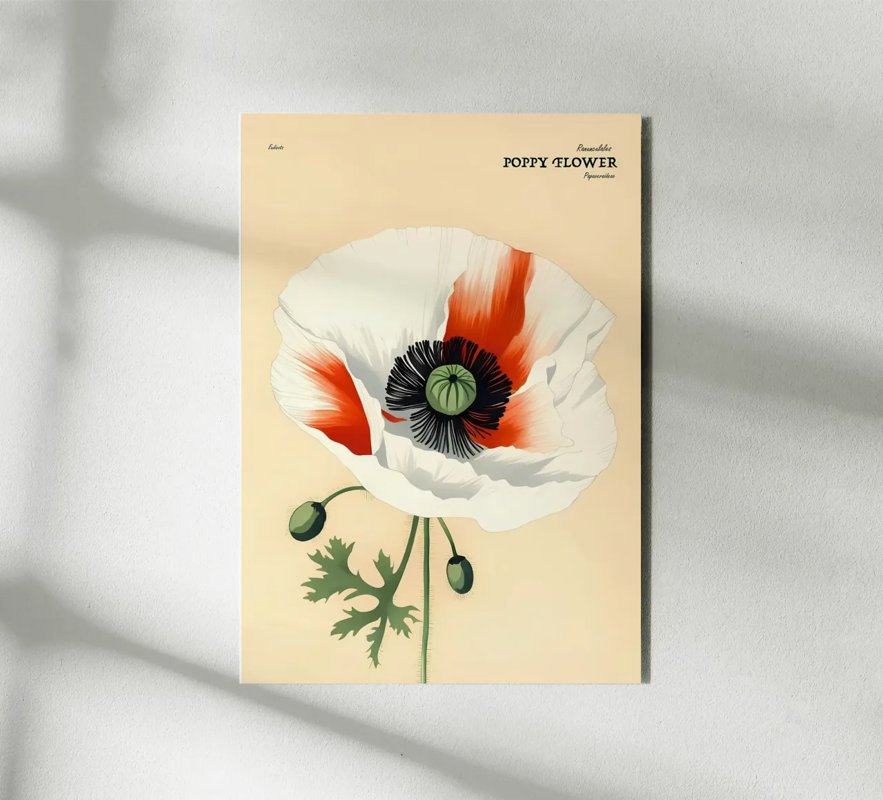Retrait de la fleur de pavot panneau forex de diedrich