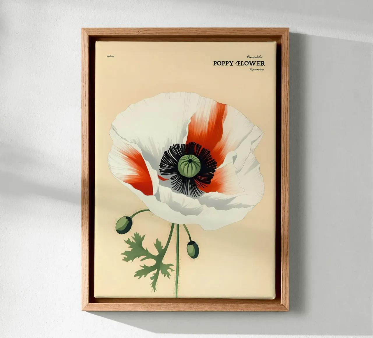 Klaproos bloem retror canvas met Baklijst van diedrich
