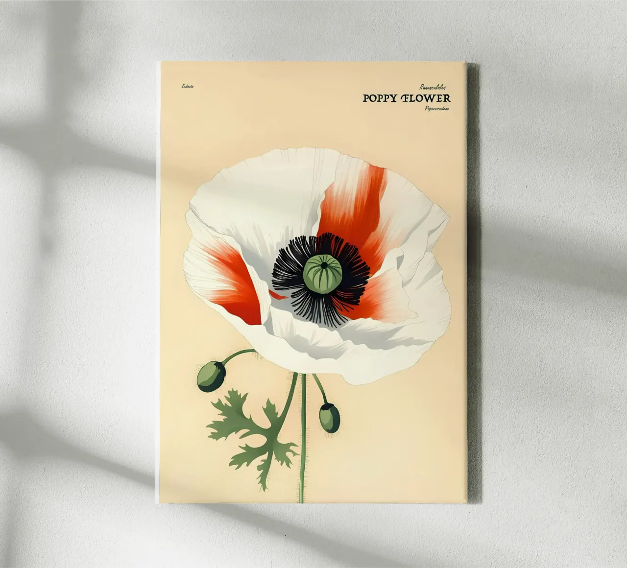 Klaproos bloem retror canvas met Baklijst van diedrich