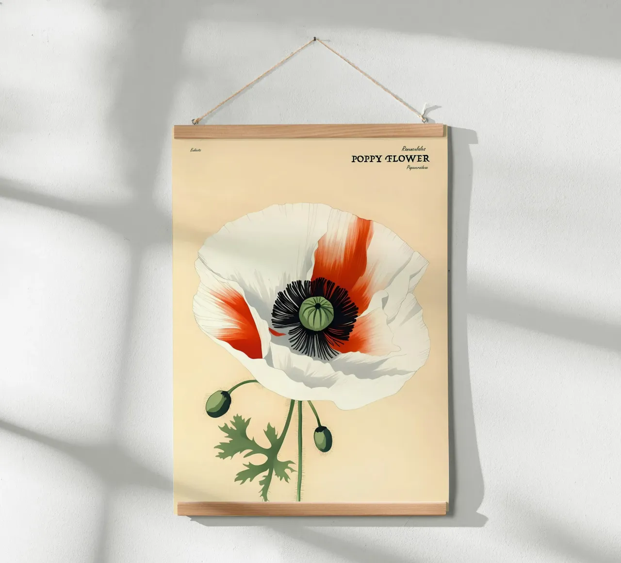 Fiore di papavero Retror carta hahnemühle da diedrich