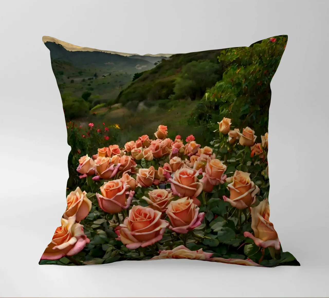 Un vivace campo di rose color pesca in fiore in una valle panoramica cuscino da DesignDoodle