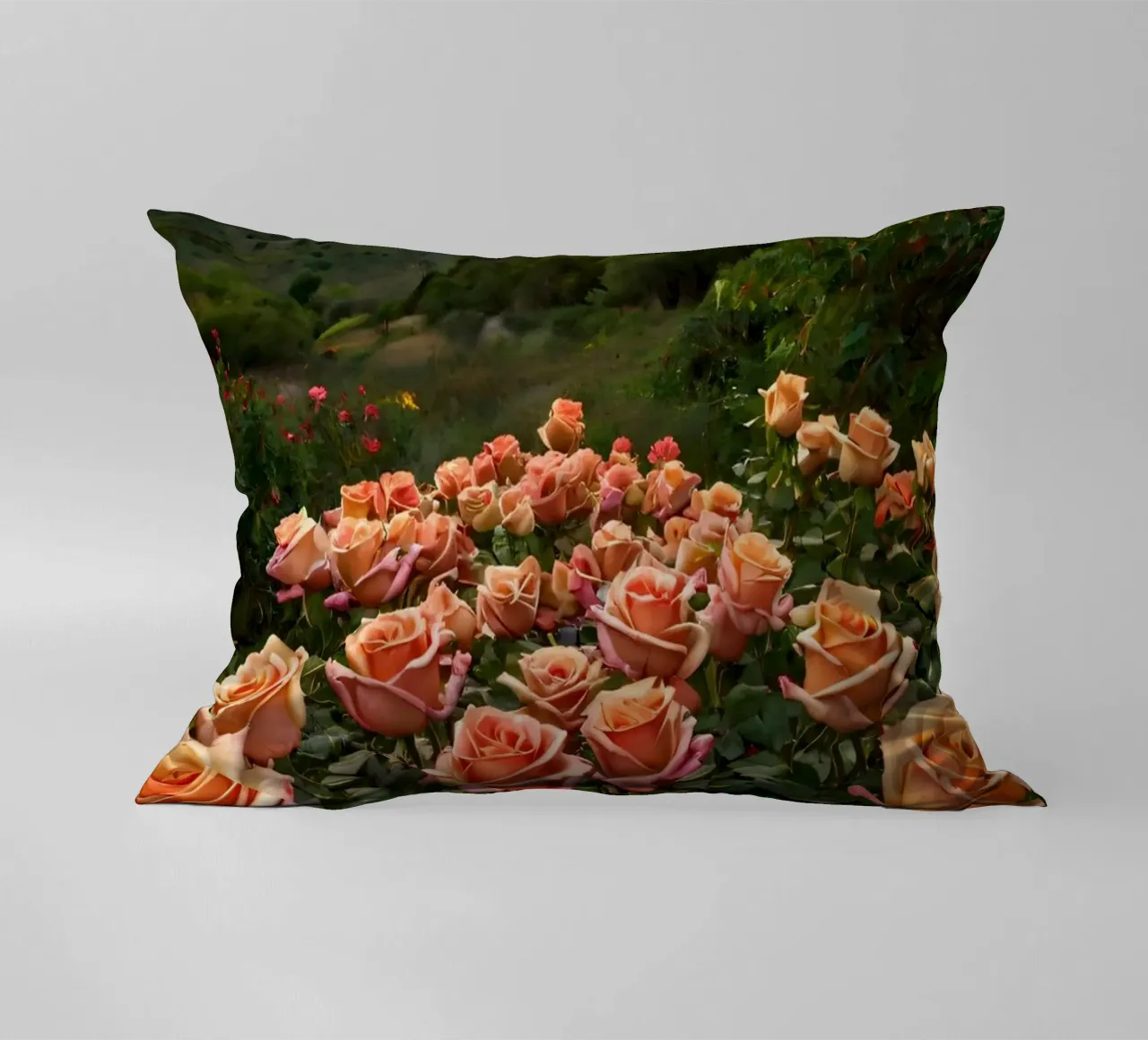 Un vivace campo di rose color pesca in fiore in una valle panoramica cuscino da DesignDoodle