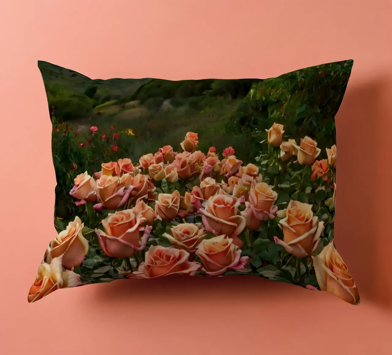 Un vivace campo di rose color pesca in fiore in una valle panoramica cuscino da DesignDoodle