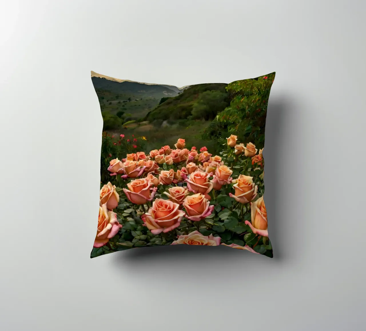 Un vivace campo di rose color pesca in fiore in una valle panoramica cuscino da DesignDoodle