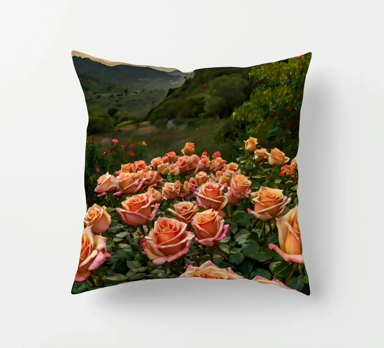 Un vivace campo di rose color pesca in fiore in una valle panoramica cuscino da DesignDoodle