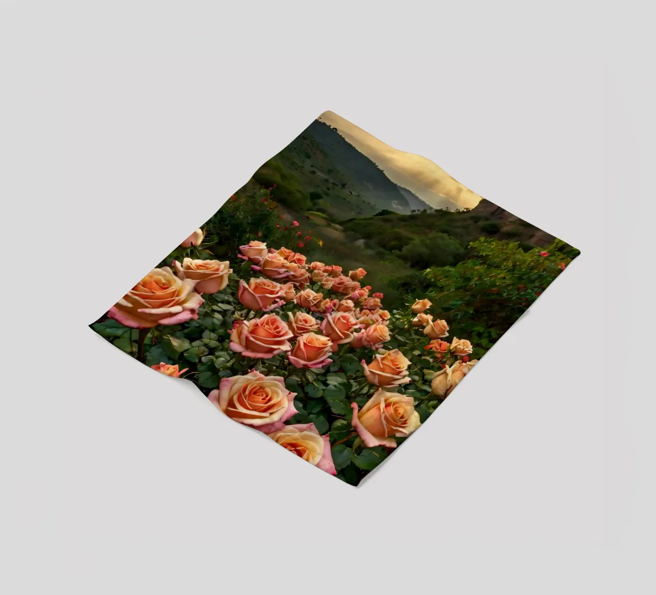 Un vivace campo di rose color pesca in fiore in una valle panoramica coperta in pile da DesignDoodle