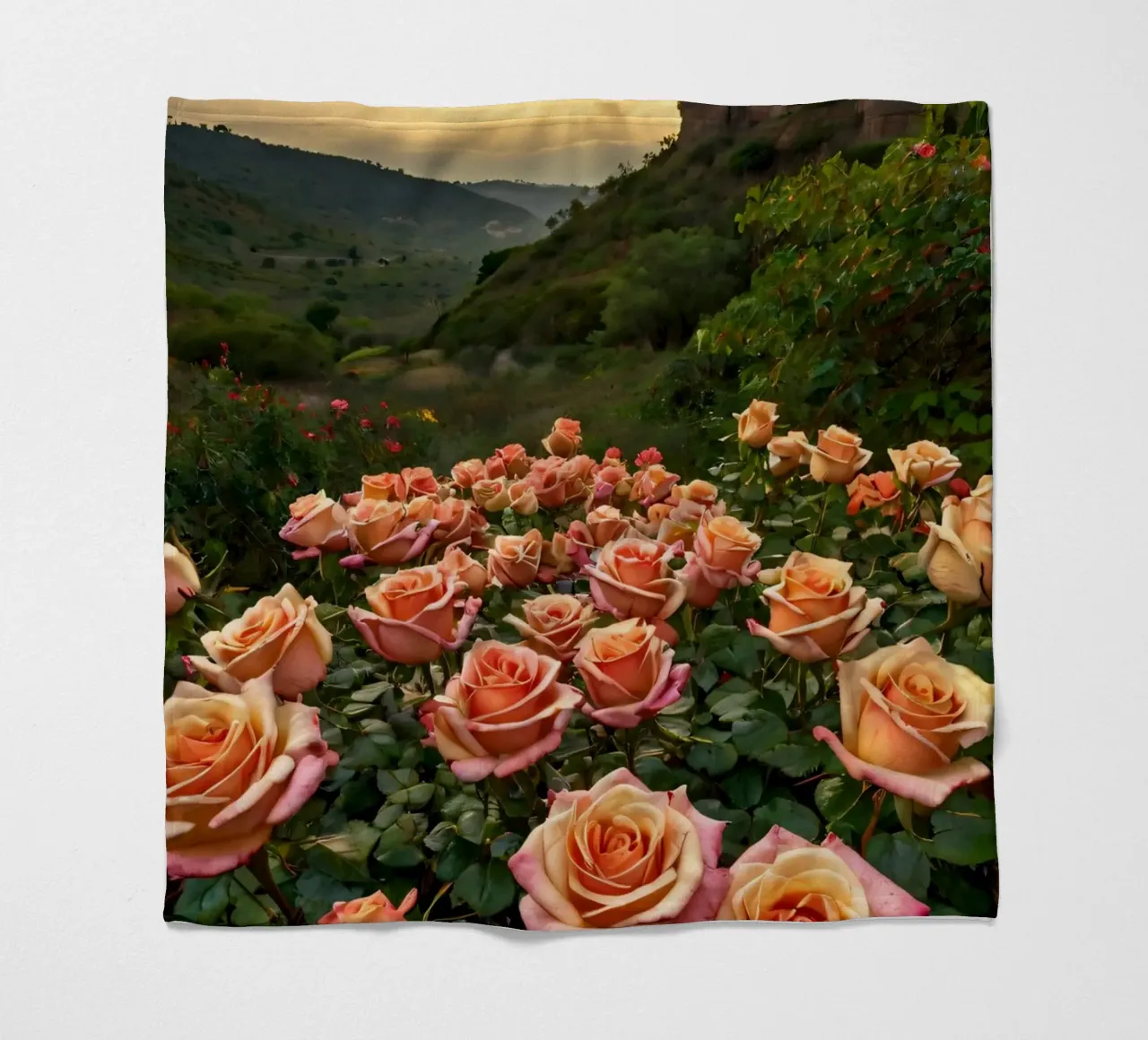 Un vivace campo di rose color pesca in fiore in una valle panoramica coperta in pile da DesignDoodle