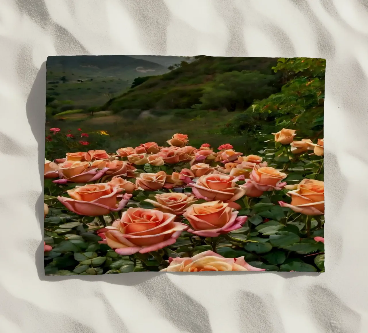 Un vivace campo di rose color pesca in fiore in una valle panoramica telo mare da DesignDoodle