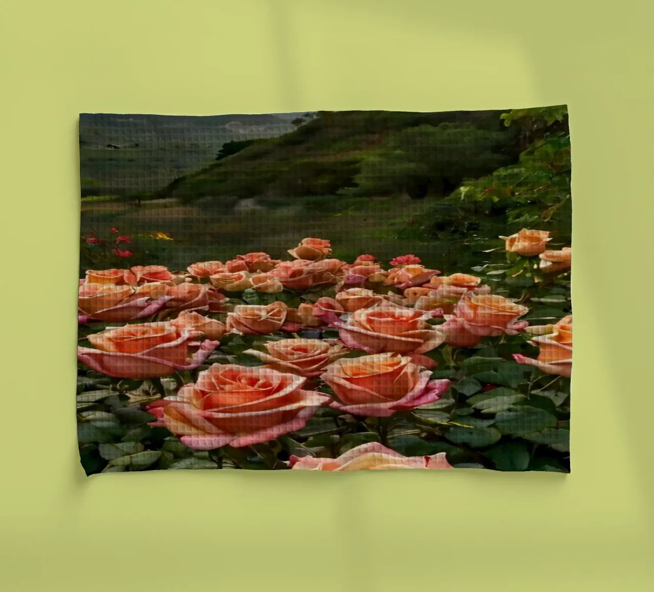 Un vivace campo di rose color pesca in fiore in una valle panoramica canovaccio da cucina da DesignDoodle
