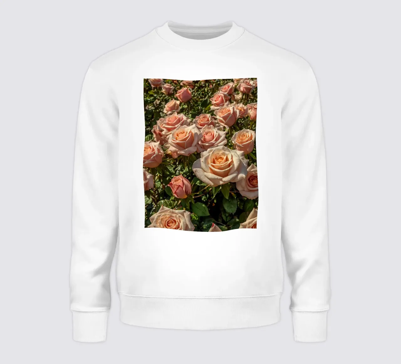 Bellissime rose di pesco in fiore in un giardino vibrante felpa da DesignDoodle