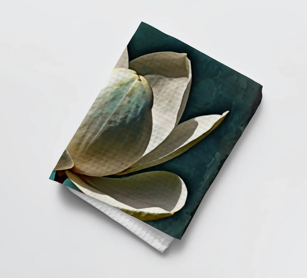 Un bel fiore di magnolia si erge alto canovaccio da cucina da DesignDoodle
