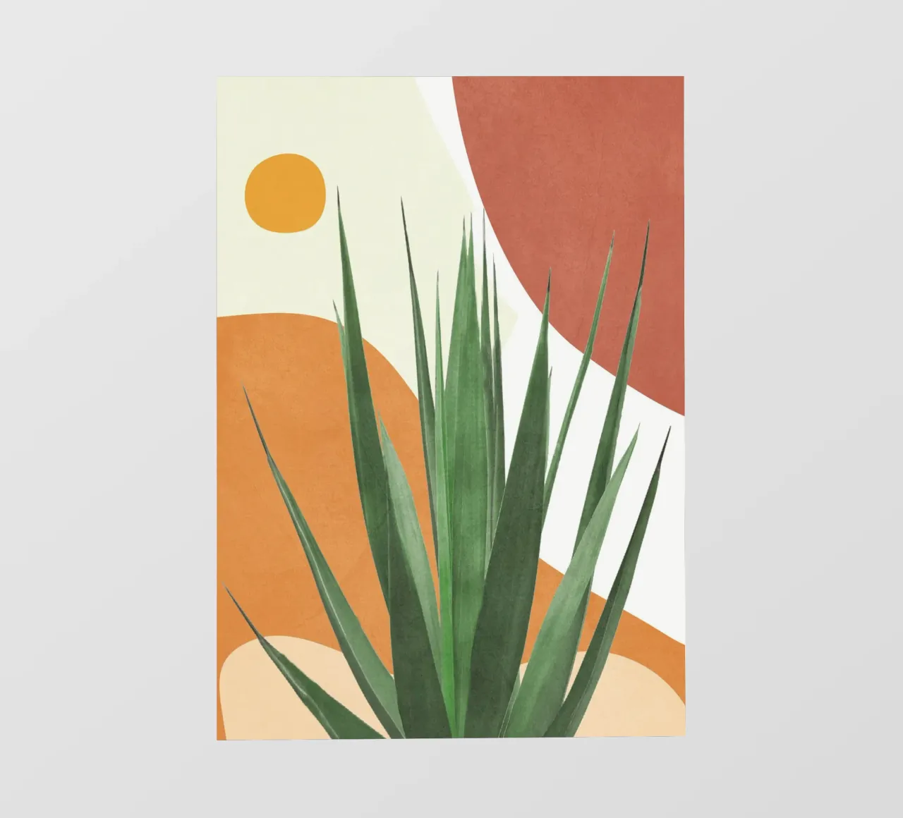 Abstract Agave Plant pellicola backlit da Flow Line