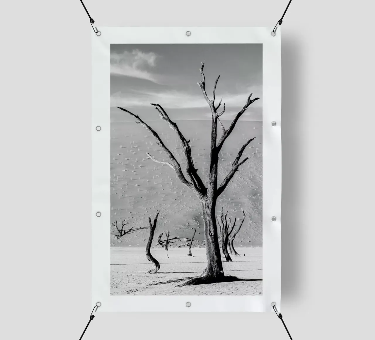 Deadvlei Trees telo in pvc da METROPOLIS