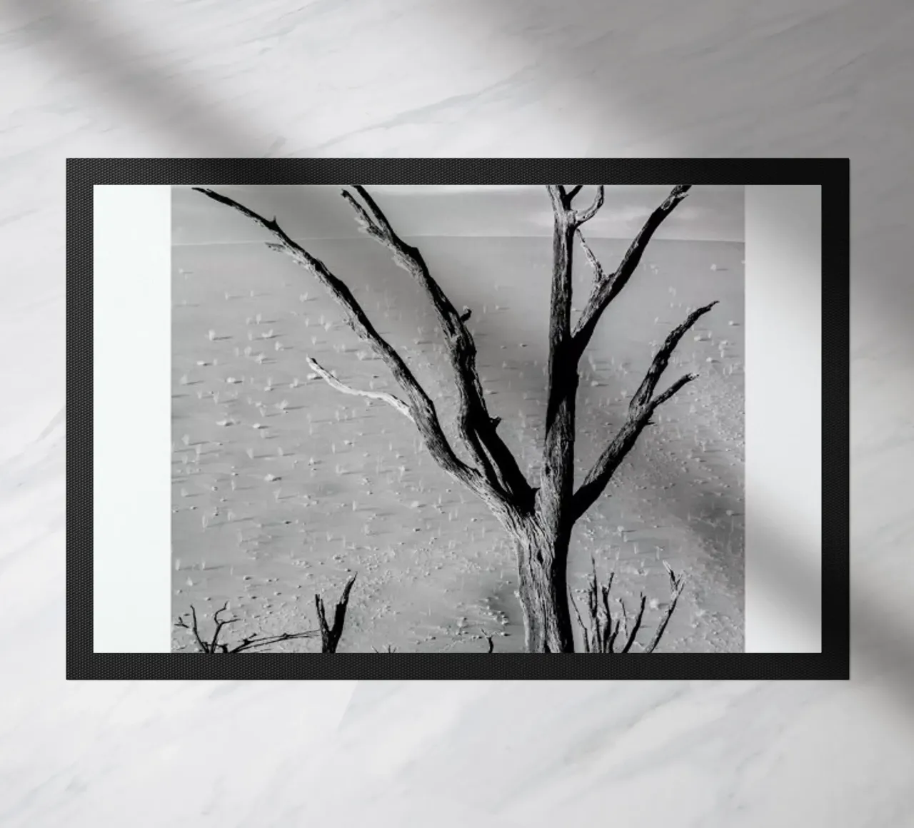 Deadvlei Trees zerbino da METROPOLIS