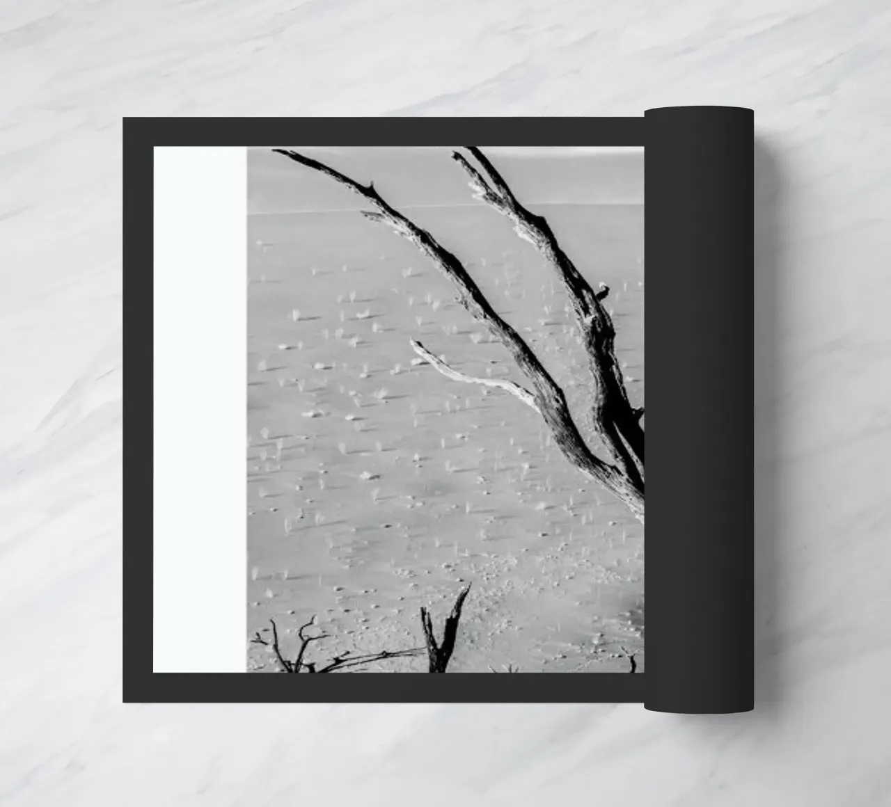 Deadvlei Trees zerbino da METROPOLIS