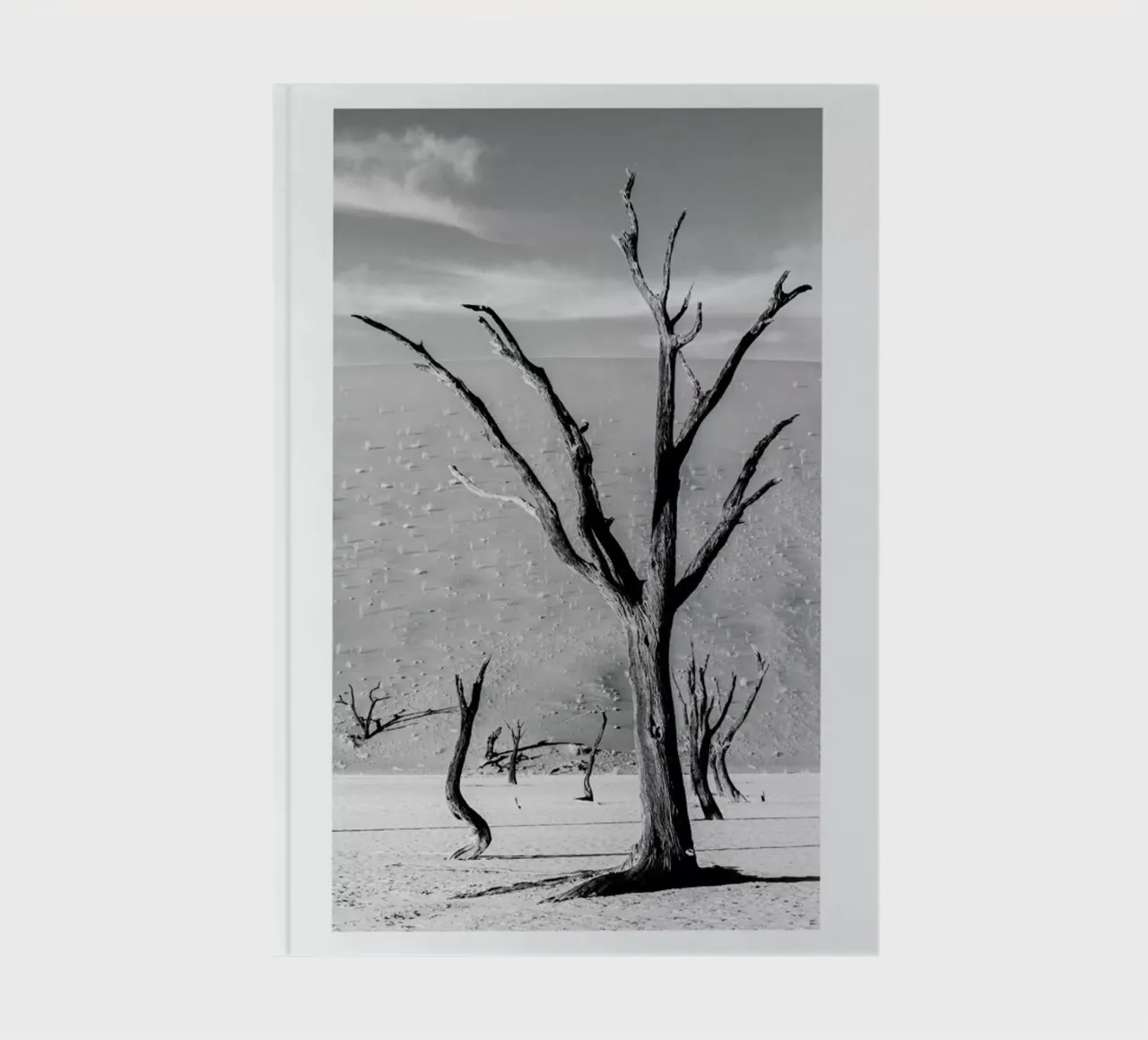 Deadvlei Trees notebook by METROPOLIS