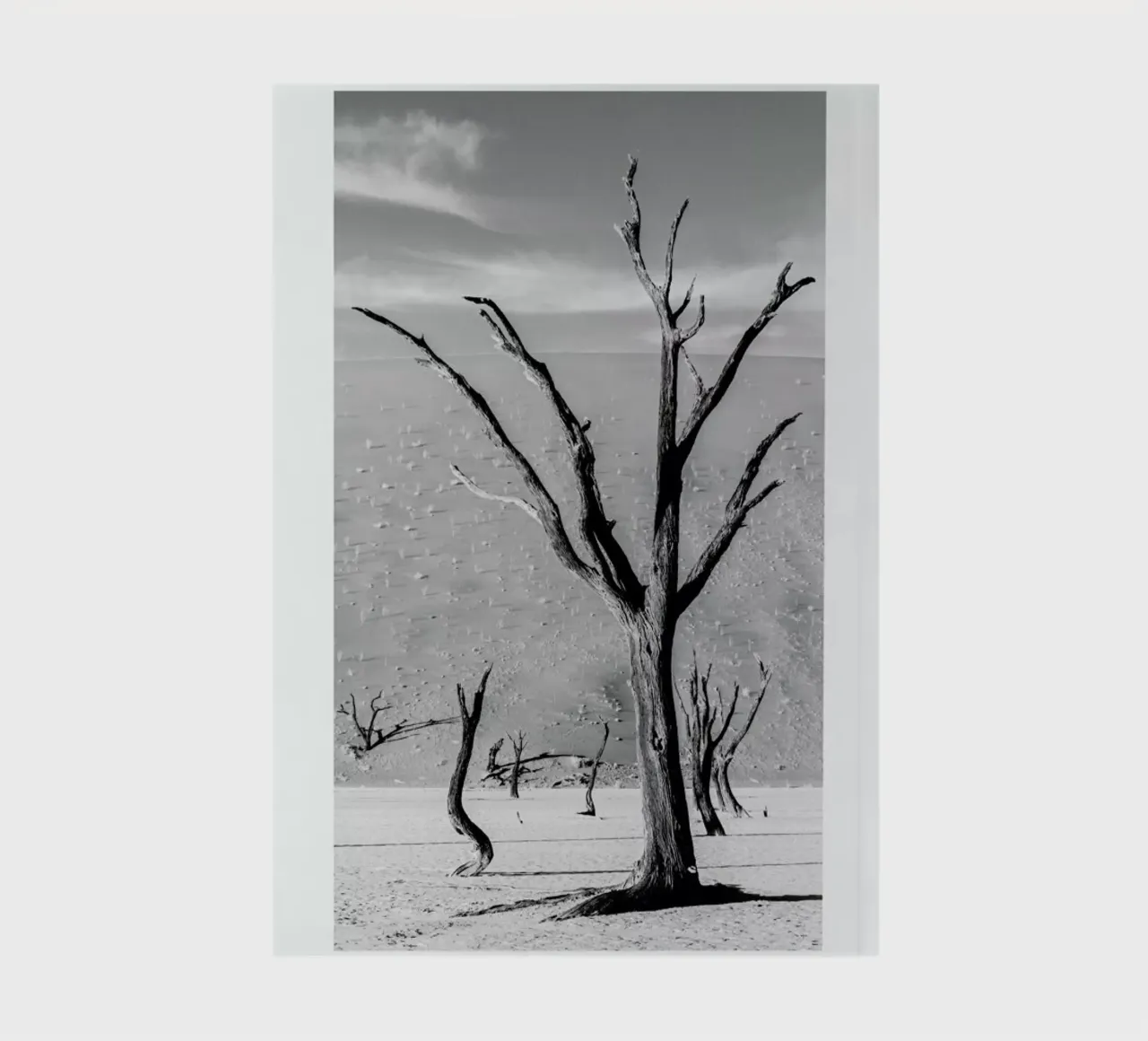 Deadvlei Trees notebook by METROPOLIS