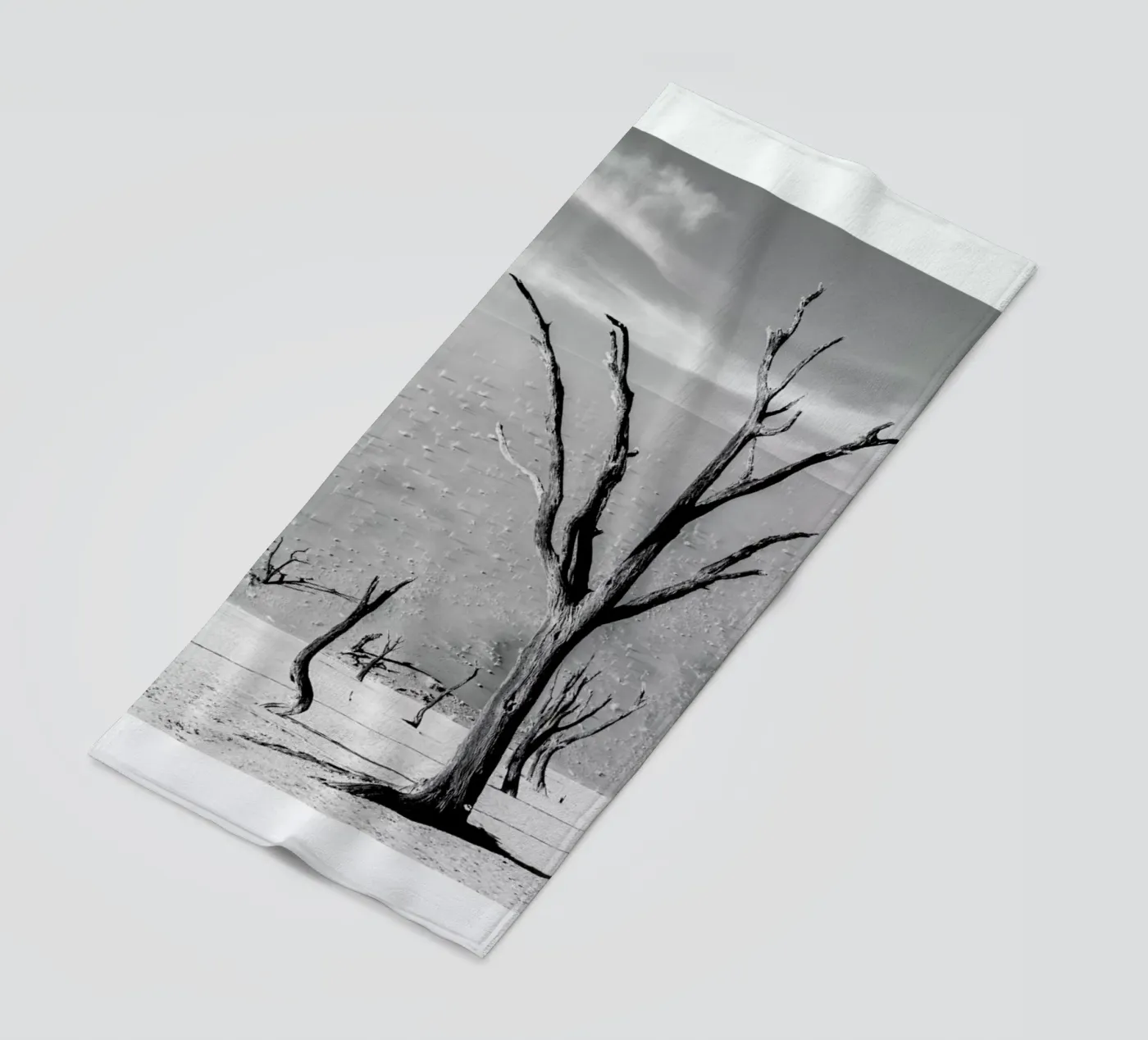 Deadvlei Trees telo mare da METROPOLIS