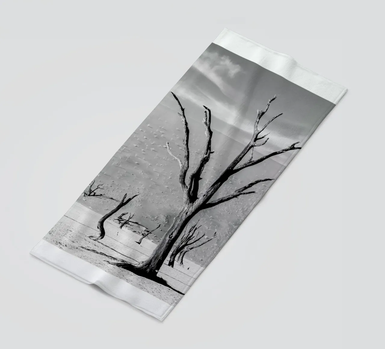 Deadvlei Trees telo mare da METROPOLIS