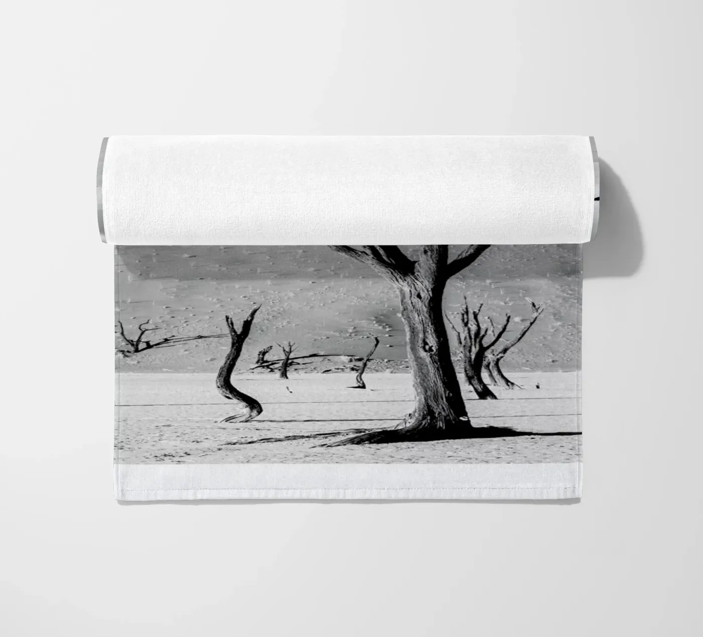 Deadvlei Trees telo mare da METROPOLIS