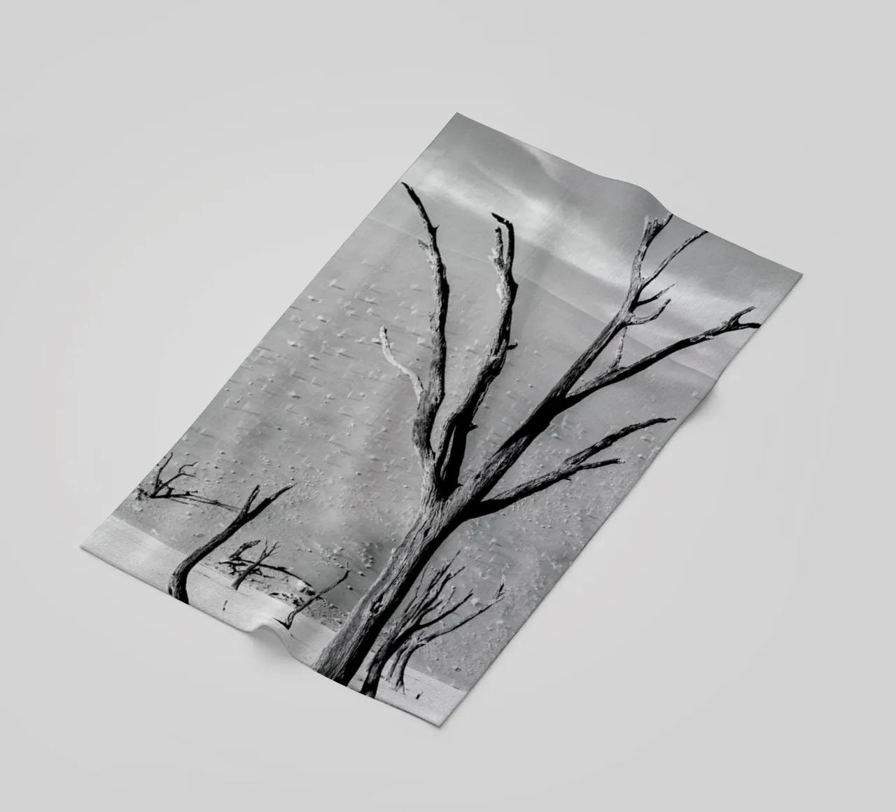 Deadvlei Trees telo mare da METROPOLIS